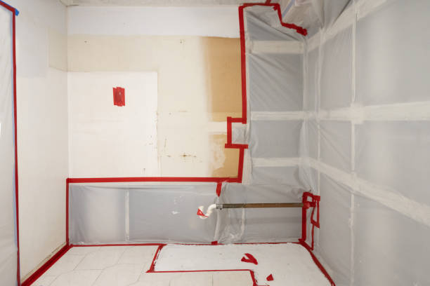 Best Basement Mold Removal  in Rogers City, MI