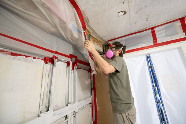Best Mold Damage Restoration  in Rogers City, MI