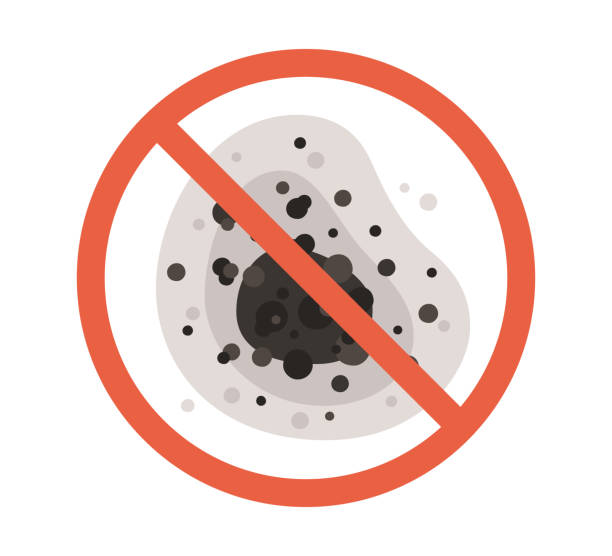 Best Black Mold Removal  in Rogers City, MI