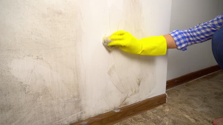 Best Airborne Mold Testing  in Rogers City, MI