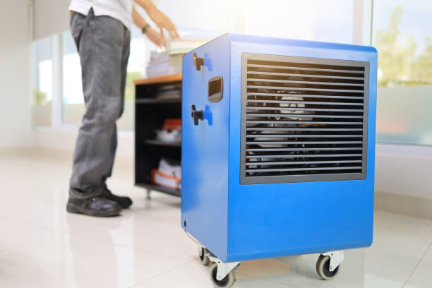 Best Biohazard Mold Removal  in Rogers City, MI