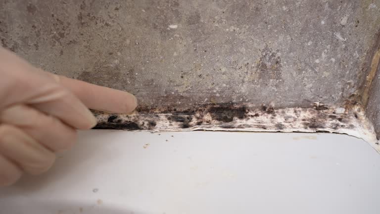 Best Residential Mold Inspection & Testing  in Rogers City, MI
